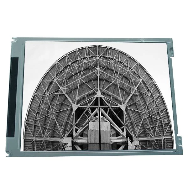 10.0 Inch 800*600 Industry CSTN LCD Display LM100SS1T522