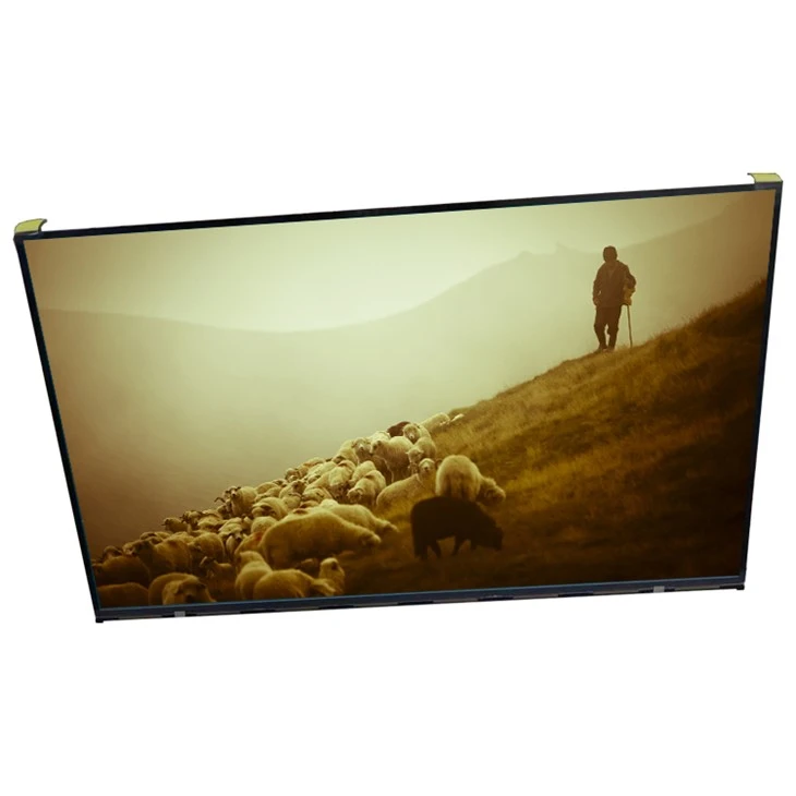 EV215FHM-N12 21.5 Inch LCD Panel For Medical Imaging