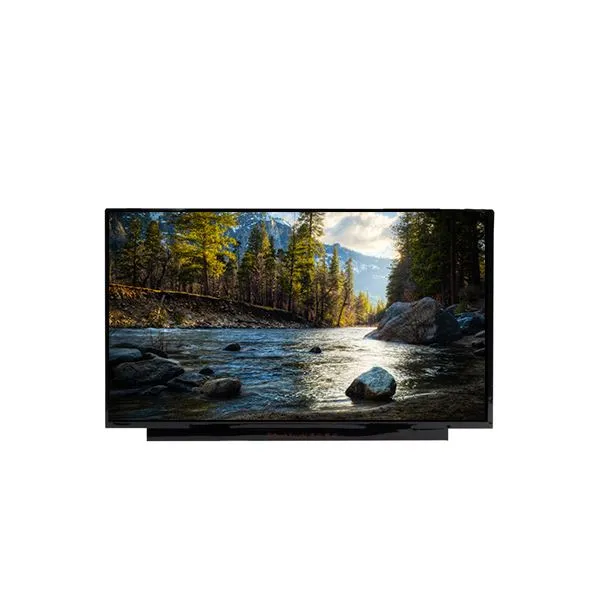 High Quality NE173QHM-NZ2 17.3 Inch TFT-LCD Screen