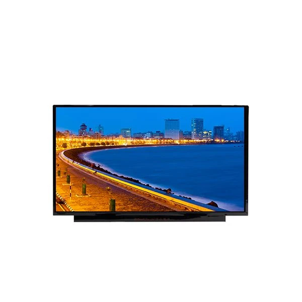 NE173FHM-NX1 17.3 Inch 1920*1080 LCD Screen