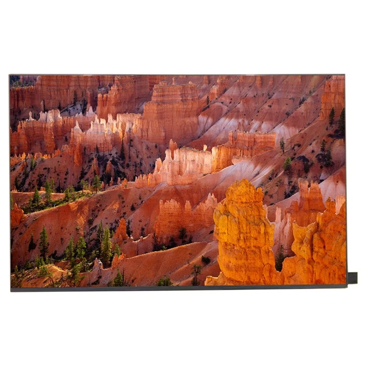 NE180QD1-MY0 18.0 Inch LCD Screen Display