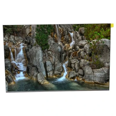 16.0 Inch NE160QD1-M60 LCD Display Panels