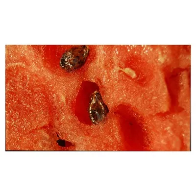 LM315WR6-SSA1 New Original 32.0 Inch Industrial Lcd Panel