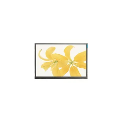 LPM104GNX1 R1 10.4 Inch 1024*768 TFT LCD Moudle