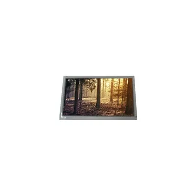 LQ104V1DG74 10.4 Inch 640*480 TFT-LCD Screen